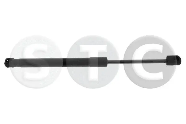 Gas Spring, bonnet (T446733)