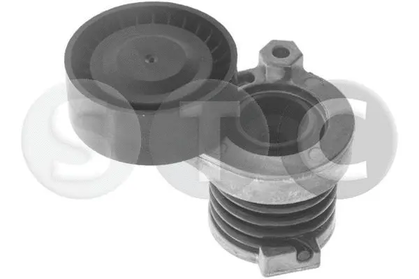 Tensioner Lever, V-ribbed belt (T416251)