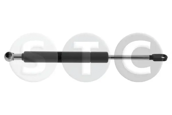 Gas Spring, rear window (T446642)