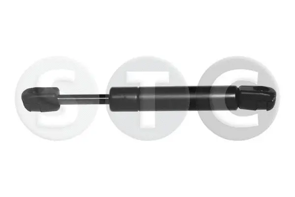 Gas Spring, boot/cargo area (T446798)