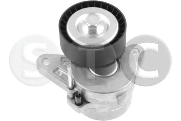 Belt Tensioner, V-ribbed belt (T449643)