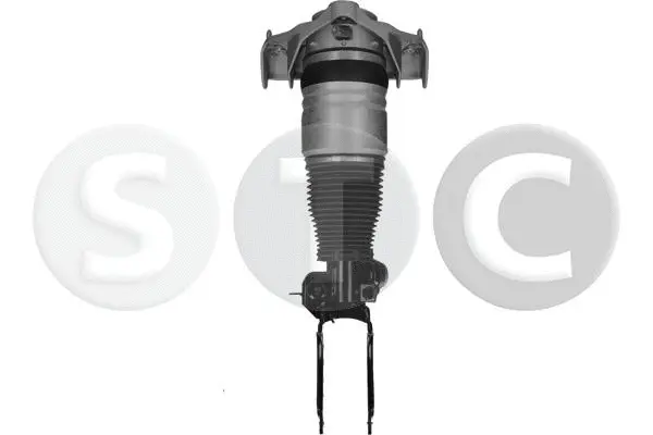 Air Suspension Strut (T442917)