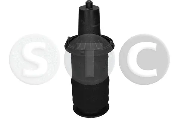 Air Spring, suspension (T442979)