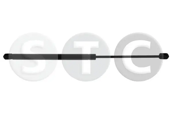 Gas Spring, boot/cargo area (T446553)