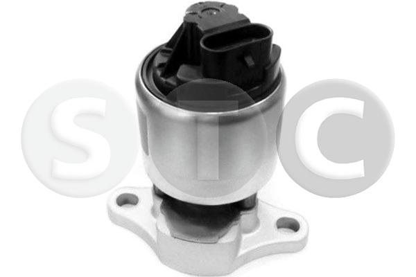 EGR Valve (T493158)