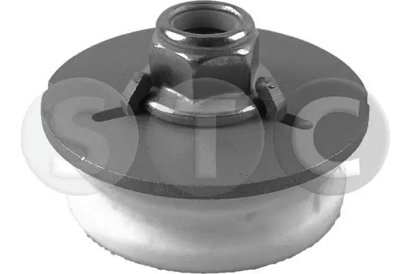 Suspension Strut Support Mount (T456114)