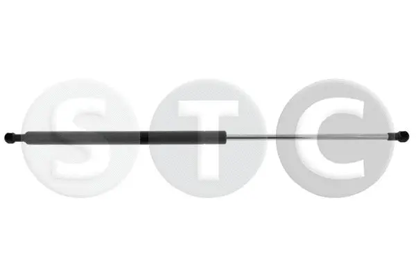 Gas Spring, boot/cargo area (T446299)