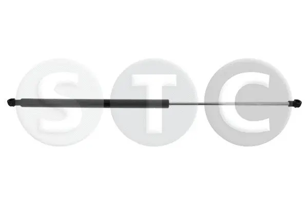 Gas Spring, boot/cargo area (T446147)