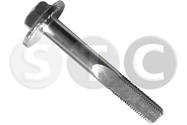 Camber Correction Screw (T439212)