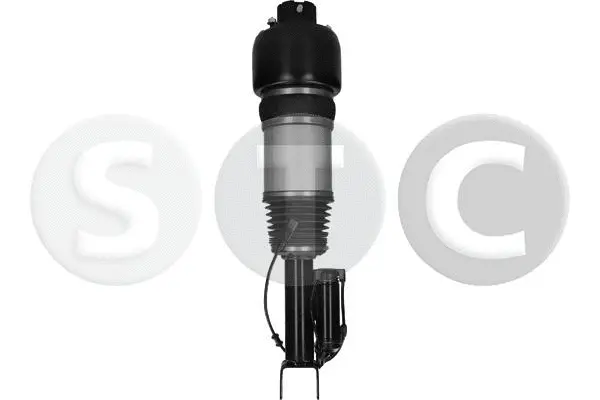 Air Suspension Strut (T442931)