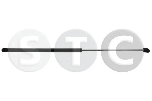 Gas Spring, bonnet (T446293)