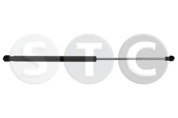 Gas Spring, boot/cargo area (T446247)