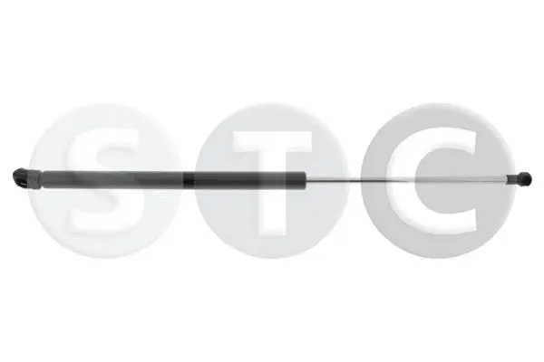 Gas Spring, boot/cargo area (T446213)