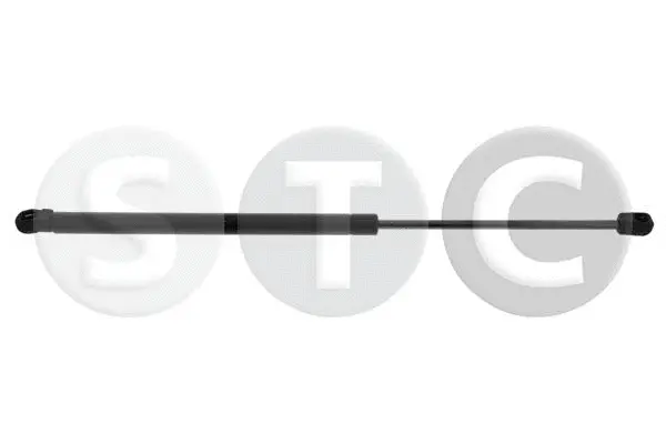 Gas Spring, boot/cargo area (T446305)