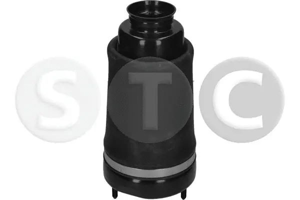 Air Spring, suspension (T442939)