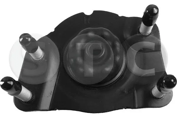 Suspension Strut Support Mount (T441719)