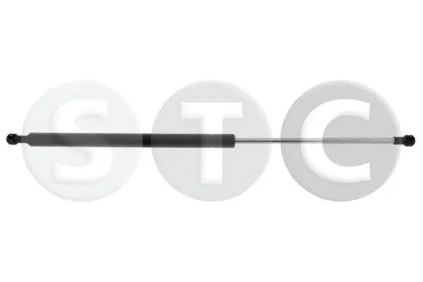Gas Spring, boot/cargo area (T446183)