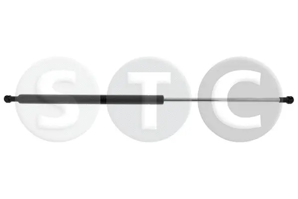 Gas Spring, boot/cargo area (T446834)