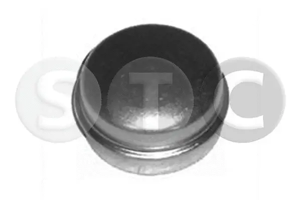 Protection Lid, wheel hub (T445137)
