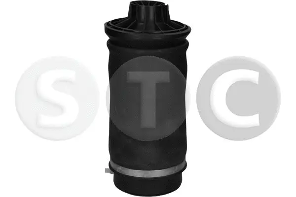 Air Spring, suspension