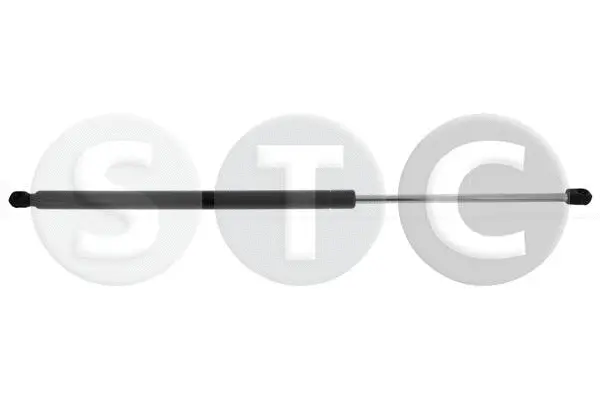Gas Spring, boot/cargo area (T446234)