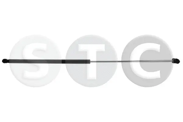 Gas Spring, bonnet (T446397)