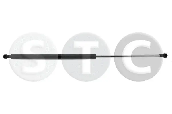 Gas Spring, bonnet (T446535)