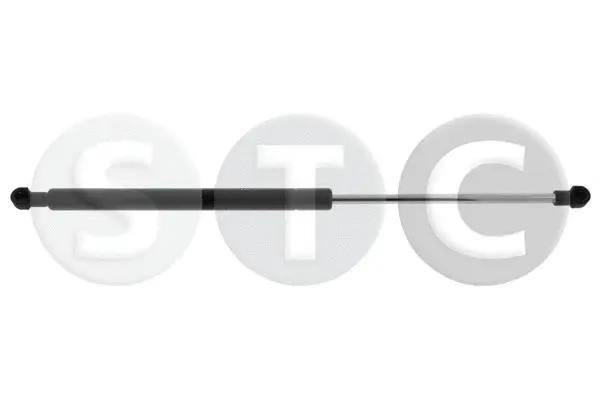Gas Spring, boot/cargo area (T446171)