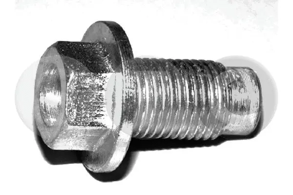 Screw Plug, oil sump (T405208)