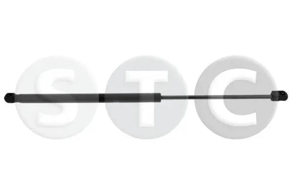Gas Spring, boot/cargo area (T446682)