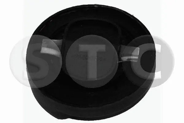 Sealing Cap, oil filler neck (T403734)