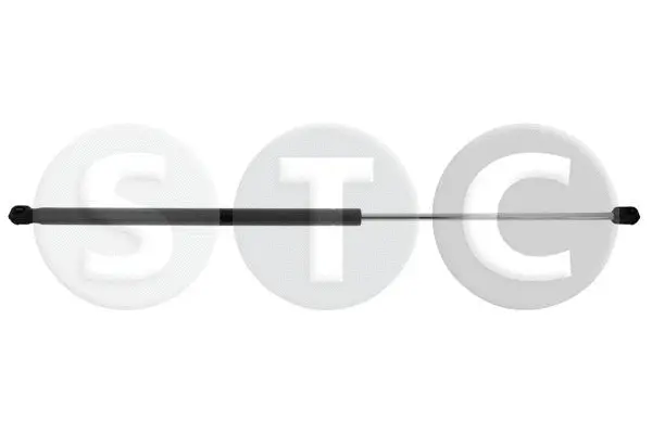 Gas Spring, bonnet (T446272)