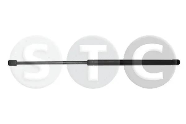 Gas Spring, boot/cargo area (T446240)