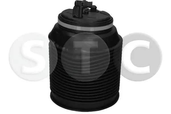 Air Spring, suspension