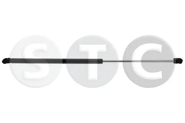Gas Spring, boot/cargo area (T446316)