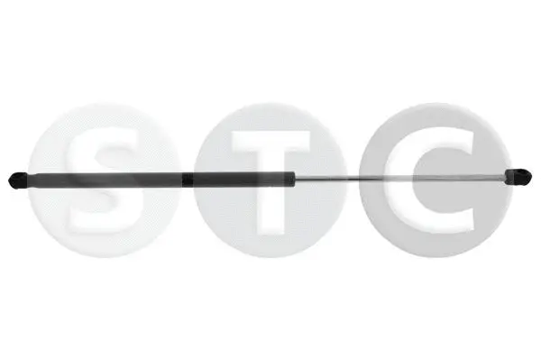 Gas Spring, boot/cargo area (T446251)