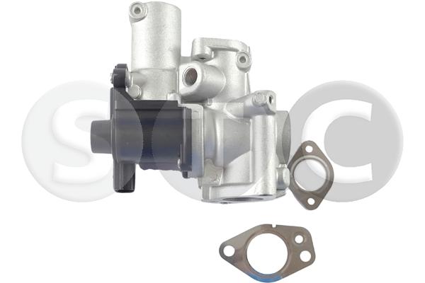EGR Valve (T493146)