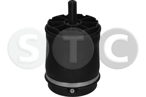 Air Spring, suspension (T442948)
