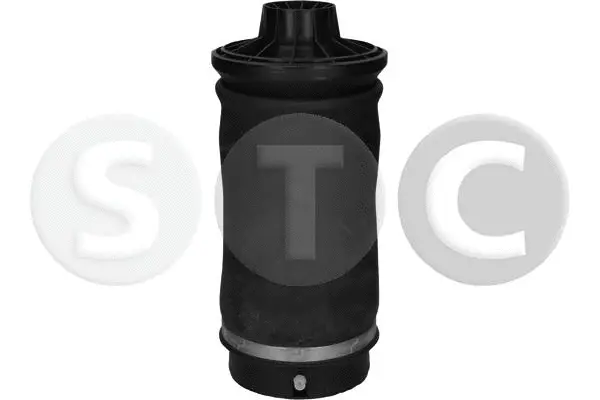 Air Spring, suspension (T442956)