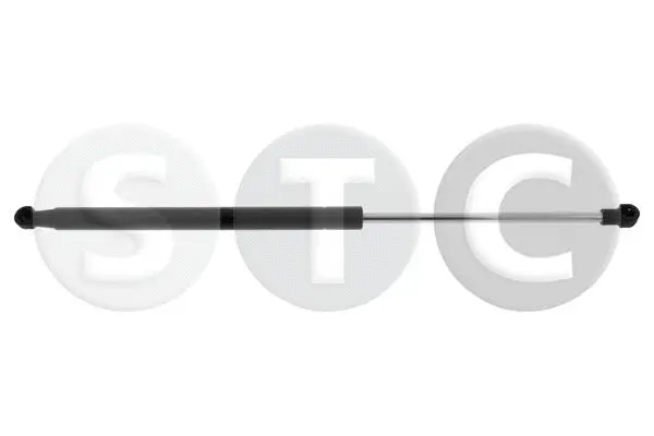 Gas Spring, boot/cargo area (T446854)
