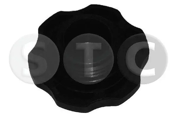 Sealing Cap, oil filler neck (T403683)