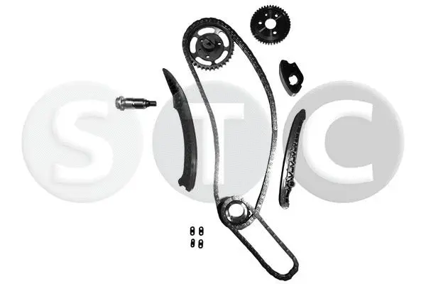 Timing Chain Kit (T406169)
