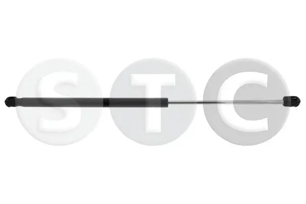 Gas Spring, rear window (T446759)