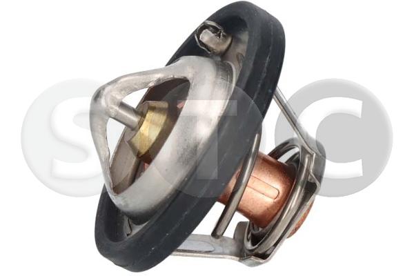 Thermostat, coolant (T403091)