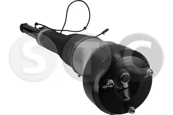 Air Suspension Strut (T442908)