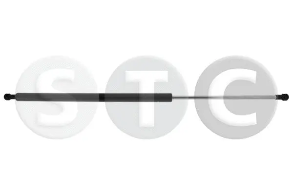 Gas Spring, boot/cargo area (T446167)