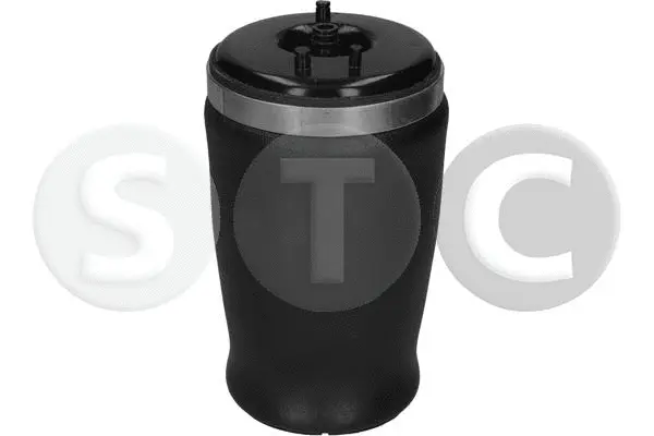 Air Spring, suspension (T442969)