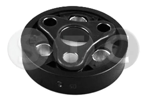 Vibration Damper, propshaft (T401045)