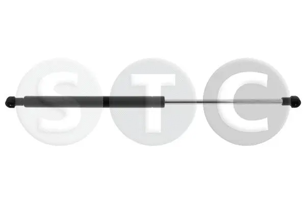 Gas Spring, rear window (T446828)