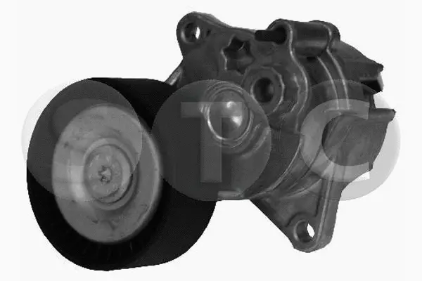 Belt Tensioner, V-ribbed belt (T405049)